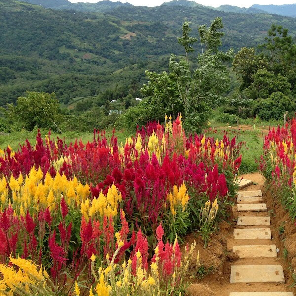Discover Philippines.jpg